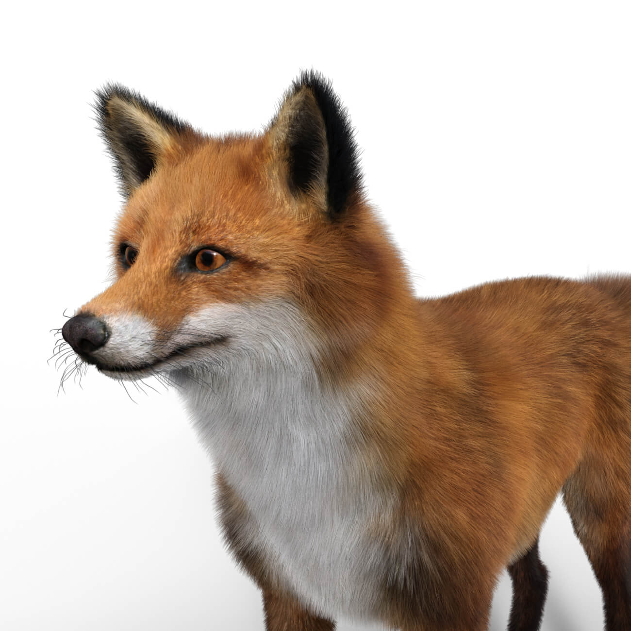 fox original standalone figure 01 BtoAMnLu